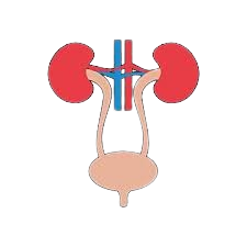 Urinary tract infection diagnosis and treatment in women